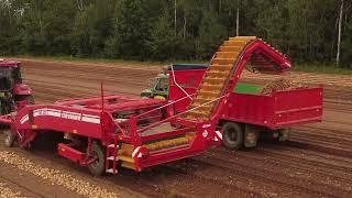 Nova Scotia Onion Harvest 2023