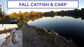 FALL CATFISH AND BIG CARP MISSED | Fishing With Vance