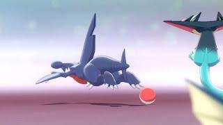 I think my Garchomp is broken