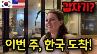  미국에서 예고 없이 17명의 손님이 한국을 방문합니다! - 17 Guests suddenly visit Korea! 