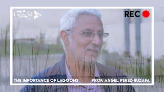 Understanding the Importance of Lagoons | Interview with Professor Angel Pérez-Ruzafa