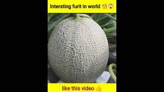 3 ऐसे फल जिन्हे देखने के लिये नसिब लगता है :3Most Amazing unique Fruits In The World #shorts#viral