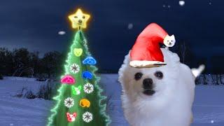 Feliz NaviDOG