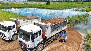 OMG !! Big Dump Trucks Drop Sand Into Water With Strong Bulldozer Push