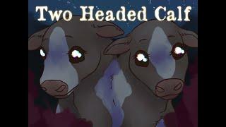 Two Headed Calf 