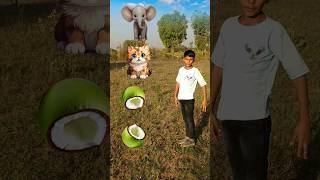 elephant, cat, dog, & monkey- vfx magic video #ytshorts  #new