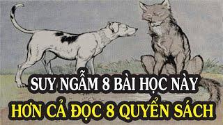 8 Bài học thấm thía về cuộc sống khiến bạn chỉ ước GIÁ MÀ MÌNH BIẾT SỚM HƠN | NGẪM PLUS