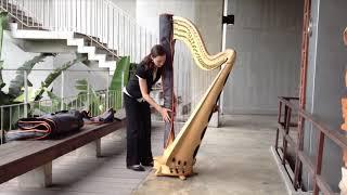 Camac video guides: transporting harps