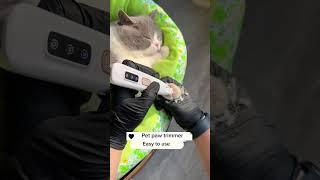 Pet paw trimmer #petpet #cat #catlover #catcare #catpaw