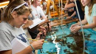 UNH Marine Biology Bootcamp