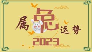 2023年属兔运势 - 永和资讯站