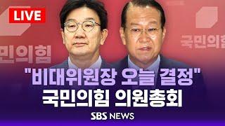 "권영세 비대위원장 유력"…국민의힘 의원총회 / SBS