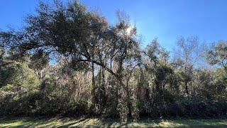 Vacant Land for Sale in Hawthorne, FL by WAR Group brokered by eXp Realty