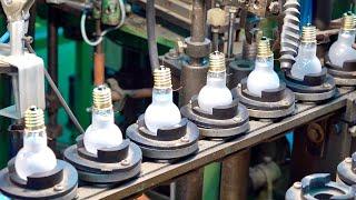 Light Bulb Mass Production Process. Last Incandescent Lamp Factory in Korea