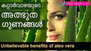 Unbelievable benefits of aleo vera ? | കറ്റാർവാഴയുടെ അത്ഭുത ഗുണങ്ങൾ.| Ethnic Health Court