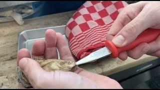 How to Shuck an Oyster