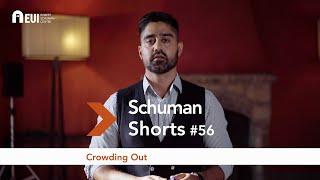 Crowding out | Rohit Ticku | Schuman Short #56