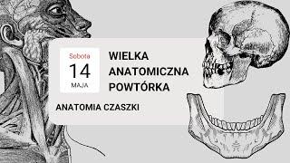 Anatomia czaszki | kości | Wielka Anatomiczna Powtórka