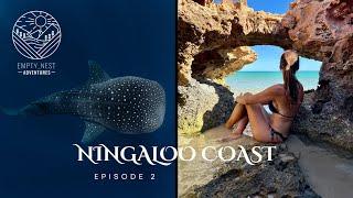 Ningaloo Coast- Episode 2 | Whale Shark & Turtle Dive | Campsite Reviews