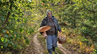 LONELY Grandma & Son in CARPATHIAN Village. Mushroom picking. Hard Mountain Life. Ancient Traditions