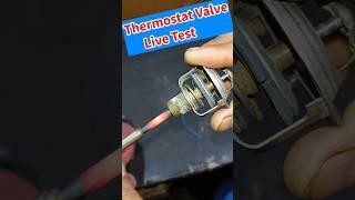 Thermostat Valve Live Testing Satisfien Working #shorts