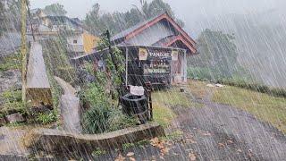 Heavy rain in an Indonesian mountain village, very cool and relaxing 3 hours, get rid of insomnia