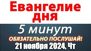 Евангелие дня с толкованием 21 ноября 2024 года Четверг Чтимые святые. Церковный календарь