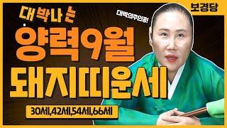 2024년 양력9월달 돼지띠운세금전운 열릴때 바로 모아지는 방법30세,42세,54세,66세