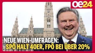 Neue Wien-Umfragen: SPÖ halt 40er, FPÖ bei über 20%