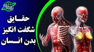 حقایق شگفت انگیز بدن انسان | Human body