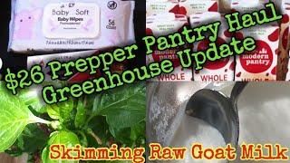 $26 Prepper Pantry Haul/Garden Update/skimming Cream from Goat's Milk#martinmidlifemisadventures