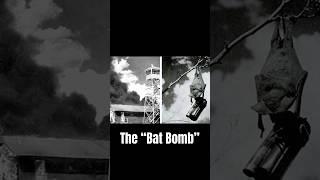 The Weirdest: Bomb filled with bats?!? (Bat Bomb) #military #technology #army #airforce #history