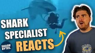 Shark Specialist Reacts to WILD Shark Attack Footage