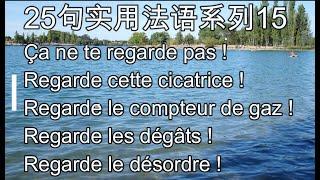 25句实用法语, 系列15， 实用法语口语, 法语教学