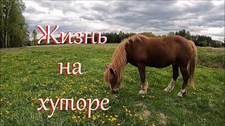Кто украл весну? Работа движется.