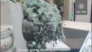 PP raffia washing and drying with squeezer Aceretech 2023