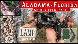 Getula Flow Part 1: Florida and Alabama - Starting a 9 day spring FlipFiesta across the southern US