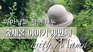 마마님과 함께하는 숲새울 이야기 세번째 Vol. 3 / 나도승마 / 글로리오사 / 어수리 / 캄파눌라 라티폴리아 / 솔리다고 / 석잠풀 / 노란 아게라텀