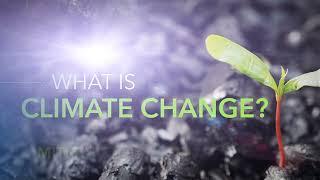 International Monetary Fund Climate Change Educational Videos | d'Vinci Interactive