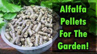 Alfalfa Pellets As Fertilizer For Your Garden