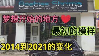 Beebies Shrimp 一直保持进步！加油！7年的时间~2014-2021