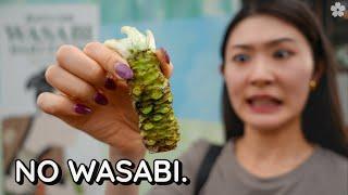 I Visited a Wasabi Village with ZERO Interest in Wasabi  Azumino, Nagano