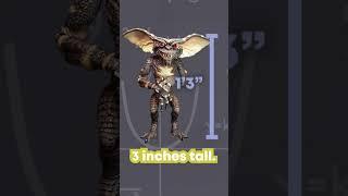 GREMLINS Height Comparison #mrstats #stats #didyouknowthat