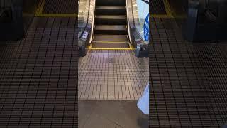 泰國手扶梯的社交距離 l 站上藍色腳印 Escalator Social distancing, Thailand