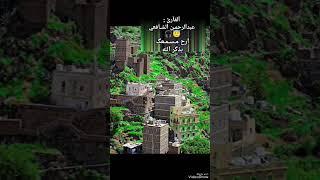 #تلاوة_خاشعة ||القارئ عبدالرحمن الشافعي