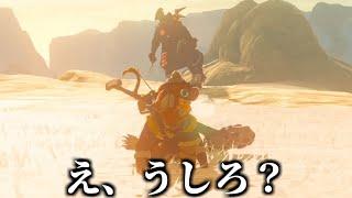 視聴者全員『そんなことある？』ってなった瞬間。【ゼルダの伝説 ティアーズ オブ ザ キングダム】