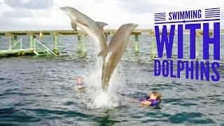 Visiting Punta Cana, Dominican Republic - Swimming with Dolphins Experience