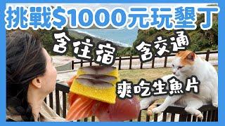 【國旅真的那麼貴嗎？】墾丁一日遊（含交通+住宿+美食）$1000元有找！