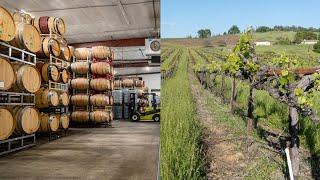 California Winery & Vineyard For Sale - Sierra Foothills / Fair Play AVA