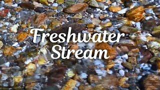 10 HRS of Cool Fresh Stream Water to Wash Your stress Away